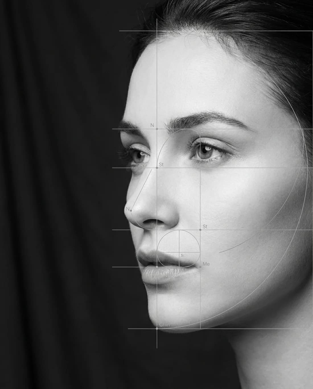 Facial profile with cephalometric measurement lines and proportion guides